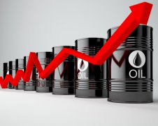 Рынок нефти сосредоточился на добыче ОПЕК. Brent выросла н